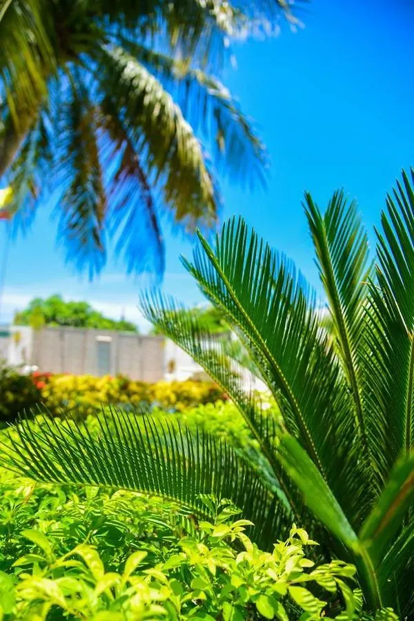 Vg Villa Gloria Santa Marta  Colombia